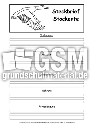 Steckbriefvorlage-Stockente-2.pdf